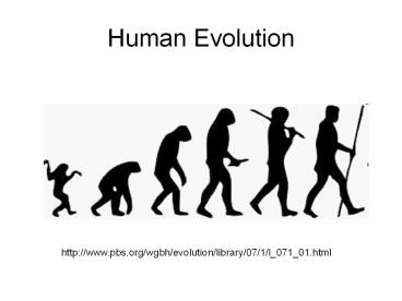 Human%20Evolution