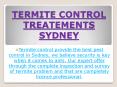 Termite Control Treatements Sydney PowerPoint PPT Presentation