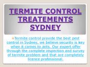 Termite Control Treatements Sydney