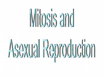 Mitosis and