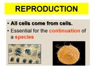 REPRODUCTION