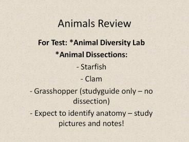 Animals Review