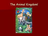 The Animal Kingdom!