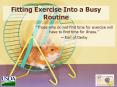 Fitting Exercise Into a Busy Routine PowerPoint PPT Presentation