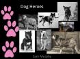 Dog Heroes PowerPoint PPT Presentation