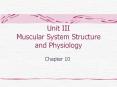Unit III Muscular System Structure and Physiology PowerPoint PPT Presentation