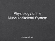 Physiology of the Musculoskeletal System