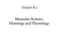Muscular System: Histology and Physiology PowerPoint PPT Presentation