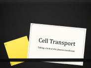 Cell Transport