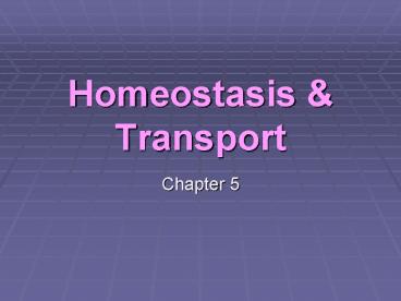 Homeostasis