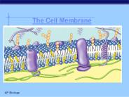 The Cell Membrane