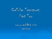 Cellular Transport: Part Two
