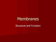 Membranes