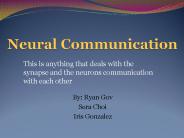 Neural Communication