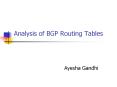 Analysis of BGP Routing Tables PowerPoint PPT Presentation