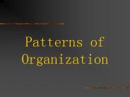 Patterns of Organization