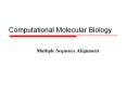 Computational Molecular Biology PowerPoint PPT Presentation