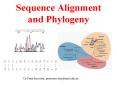 Sequence Alignment and Phylogeny PowerPoint PPT Presentation