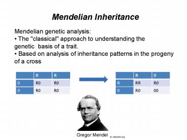Mendelian Inheritance