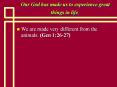 Our%20God%20has%20made%20us%20to%20experience%20great%20things%20in%20life. PowerPoint PPT Presentation