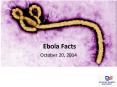 Ebola Facts PowerPoint PPT Presentation