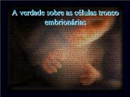 A verdade sobre as c