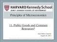 Principles of Microeconomics  11. Public Goods and Common Resources* PowerPoint PPT Presentation