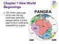Chapter 1 New World Beginnings PowerPoint PPT Presentation