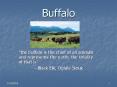 Buffalo PowerPoint PPT Presentation