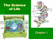 The Science  of Life