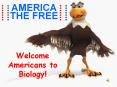 AMERICA THE FREE PowerPoint PPT Presentation