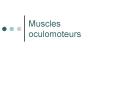 Muscles oculomoteurs PowerPoint PPT Presentation