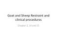 Goat and Sheep Restraint and clinical procedures PowerPoint PPT Presentation