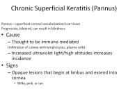 Chronic Superficial Keratitis (Pannus)