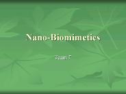 Nano-Biomimetics