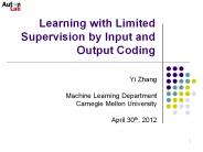 Learning with Limited Supervision by Input and Output Coding