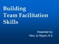 Building Team Facilitation Skills PowerPoint PPT Presentation