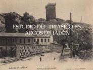 ESTUDIO DEL TRI
