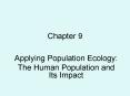 Applying Population Ecology: PowerPoint PPT Presentation