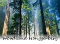 Woodland H PowerPoint PPT Presentation