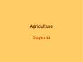 Agriculture PowerPoint PPT Presentation