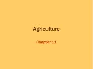 Agriculture