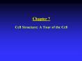 Cell Structure: A Tour of the Cell PowerPoint PPT Presentation
