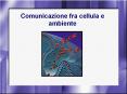 Comunicazione fra cellula e ambiente PowerPoint PPT Presentation