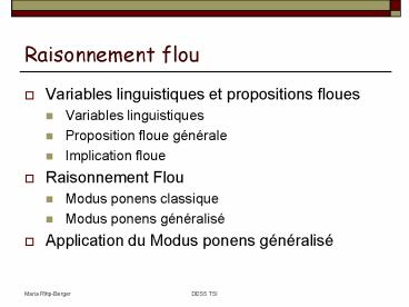 Raisonnement flou