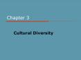 Cultural Diversity PowerPoint PPT Presentation