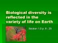 Biological%20diversity%20is%20reflected%20in%20the%20variety%20of%20life%20on%20Earth PowerPoint PPT Presentation