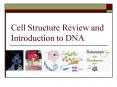 Cell Structure Review and Introduction to DNA PowerPoint PPT Presentation