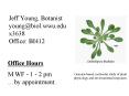 Jeff Young, Botanist young@biol.wwu.edu x3638 Office: BI412 PowerPoint PPT Presentation