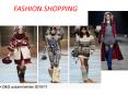 FASHION.SHOPPING PowerPoint PPT Presentation